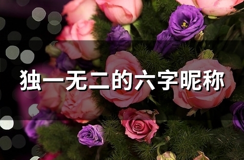 独一无二的六字昵称(优选113个) 独一无二的六字昵称(优选113个)