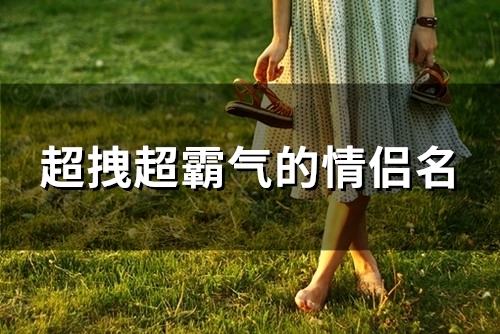 超拽超霸气的情侣名(优选113个)