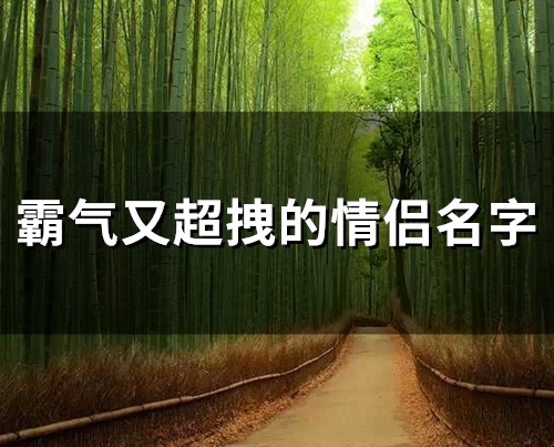 霸气又超拽的情侣名字(优选91个) 霸气又超拽的情侣名字(优选91个)