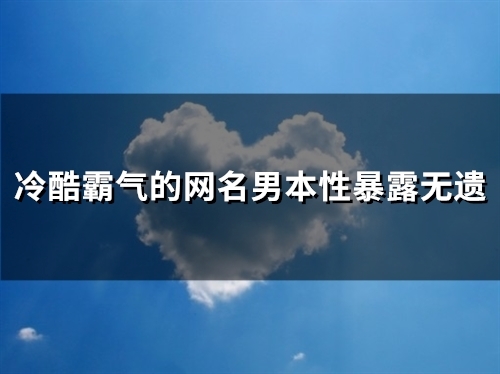 冷酷霸气的网名男本性暴露无遗(共116个)