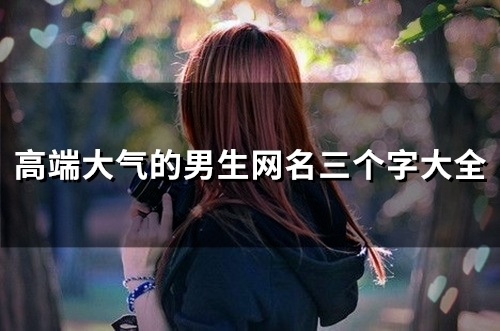 高端大气的男生网名三个字大全(104个)