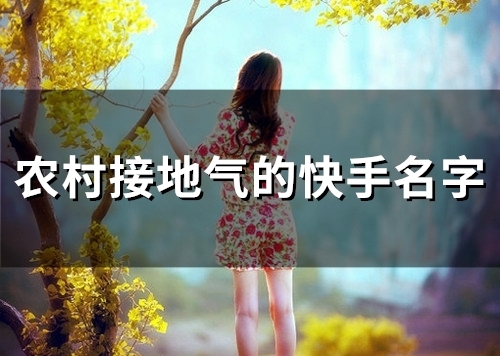 农村接地气的快手名字(优选85个)