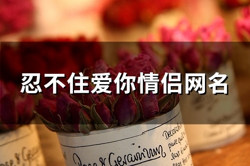 忍不住爱你情侣网名(89个)