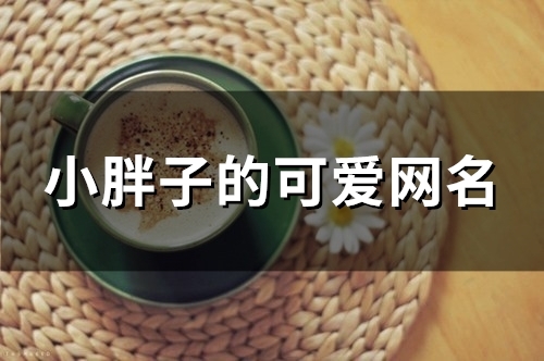 小胖子的可爱网名(精选105个)