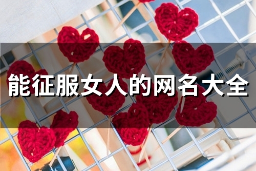 能征服女人的网名大全(共100个)