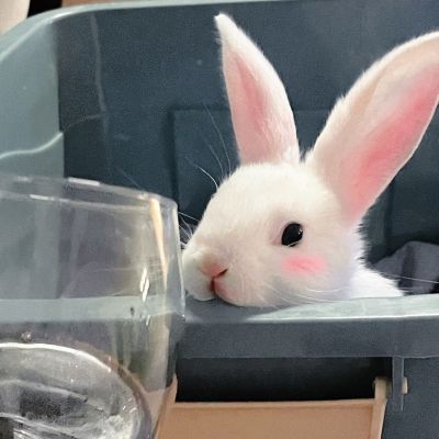 搞怪的情头搞怪的图片大全(优选16张)