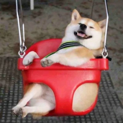 搞怪的情头搞怪的图片(18张)