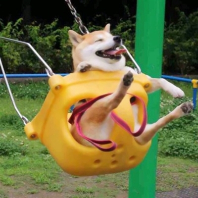 搞怪的情头搞怪的图片(18张)