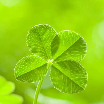 女人带财运的微信头像图片(16张)