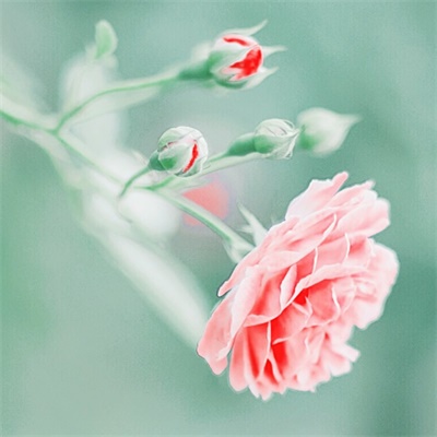 女人带财运的微信头像图片(16张)