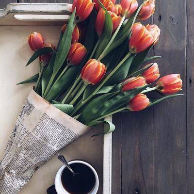 女人好运吉祥微信头像风景图片(优选20张)