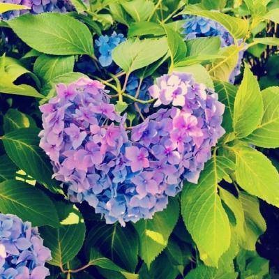 女人好运吉祥微信头像风景图片(优选20张)