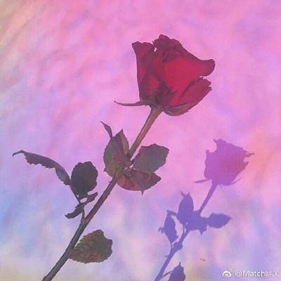 女人好运吉祥微信头像风景图片(优选20张)