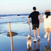 简约高端的小众情侣头像(精选16张)