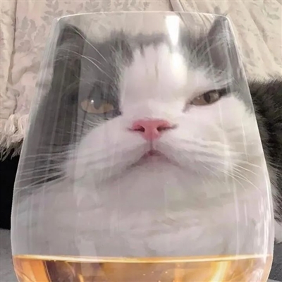 搞笑到能笑死人的头像图片(精选16张)