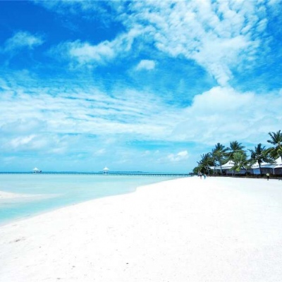 看海的微信头像图片大全(共18张)