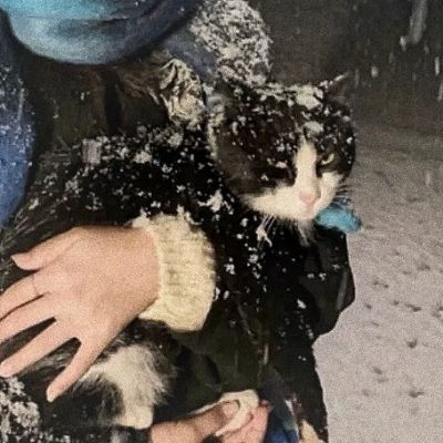 非常难发现的情侣头像一人一张(优选18张)