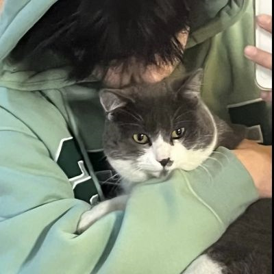 一个孤独的人适合用什么头像(优选18张)