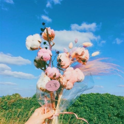 快手最美风景图片大全(精选16张)