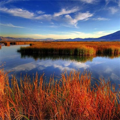 网上很火的景色头像图片(16张)