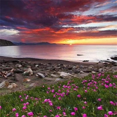 网上很火的景色头像图片(16张)