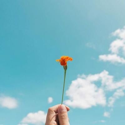 适合用一辈子的微信头像(优选16张)