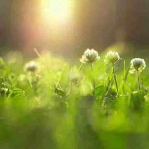 适合用一辈子的微信头像(优选16张)