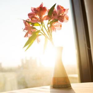 适合用一辈子的微信头像(优选16张)