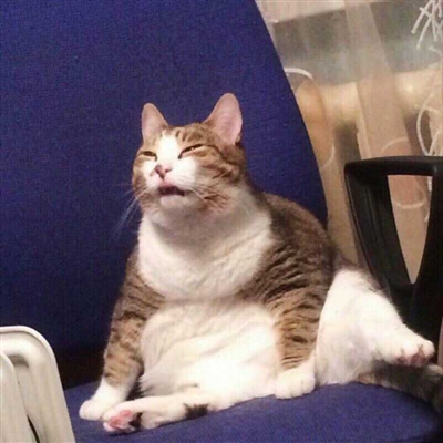 可以表达心情的头像(共16张)