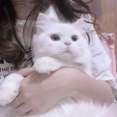 比较独特的情侣头像(16张)