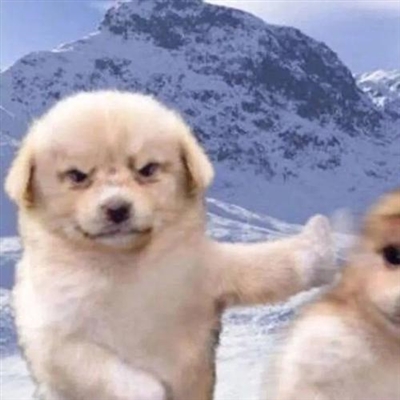 2023王者搞怪沙雕无厘头头像(共18张)