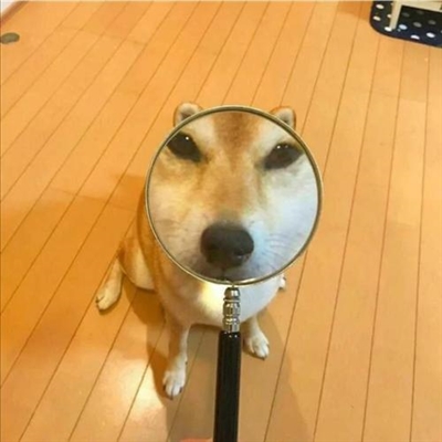 2023王者搞怪沙雕无厘头头像(共18张)