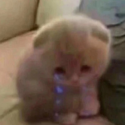 一看就知道脑子有病的头像(共18张)