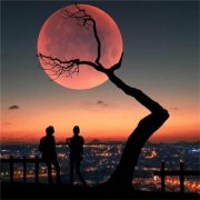 有意境唯美的微信头像(精选18张)