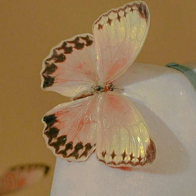 2023微信女头像最吉利好运图片(共20张)