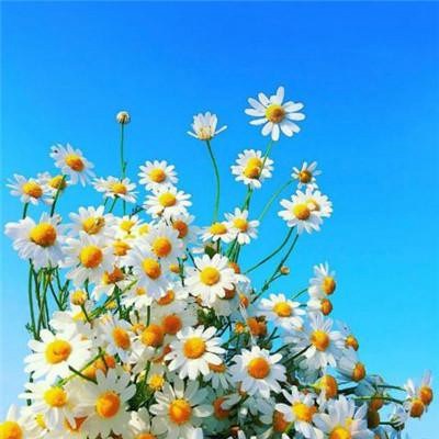 2023微信女头像最吉利好运图片(共20张)