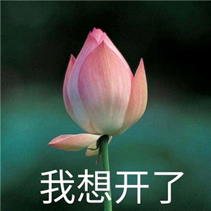 一般人看不出来的情头(优选20张)