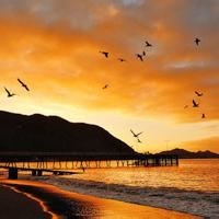 微信头像风景图片大全(20张)