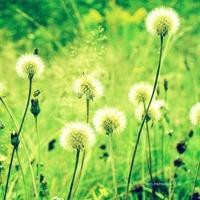 微信头像风景图片大全(20张)