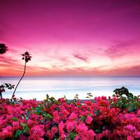 微信头像风景图片大全(20张)