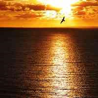 微信头像风景图片大全(20张)