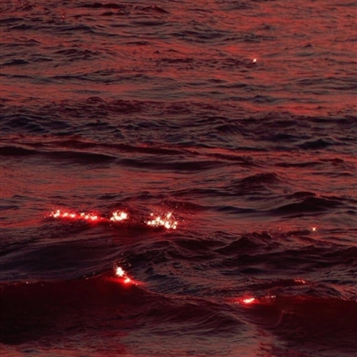 微信头像风景图片大全(20张)