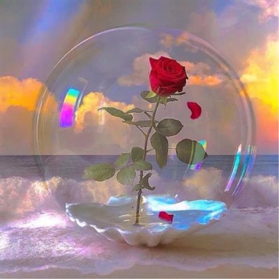 小清新女生微信头像图片大全(18张)