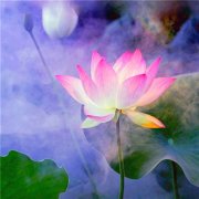 小清新唯美微信头像(共20张)