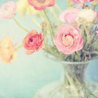 小清新唯美微信头像(共20张)