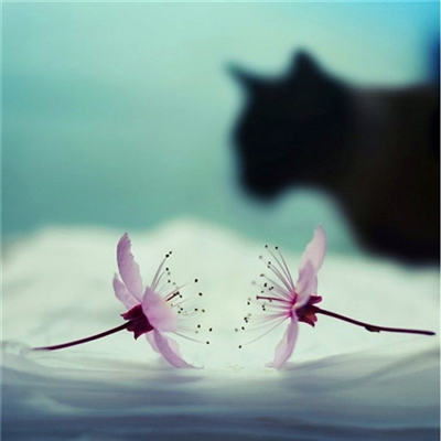 小清新唯美微信头像(共20张)