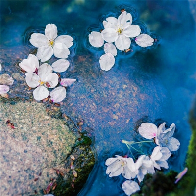 小清新唯美微信头像(共20张)