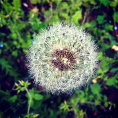 小清新唯美微信头像(共20张)