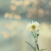 小清新唯美微信头像(共20张)