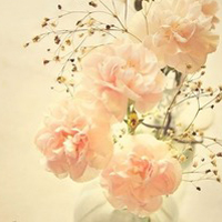 小清新唯美微信头像(共20张)